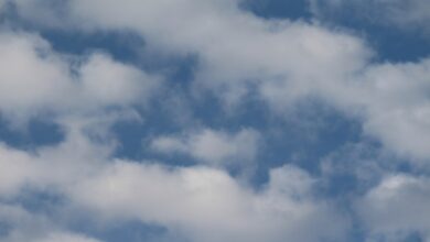 cloud CRM